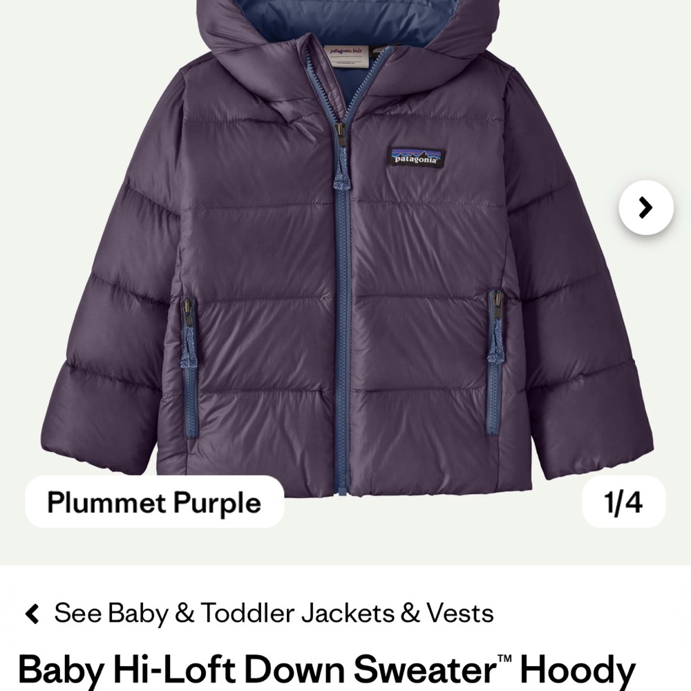 Patagonia Hi-Loft Down Jacket (3T)